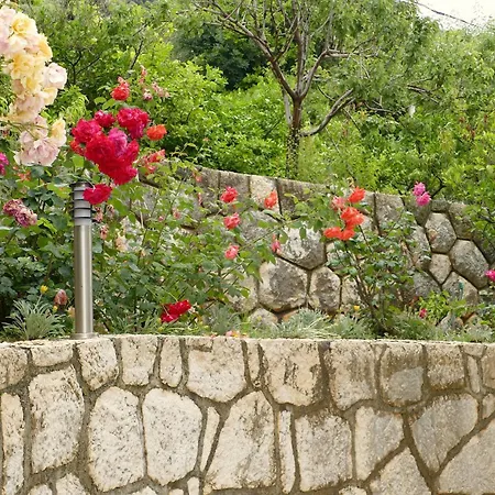 Garni Toni Bed & Breakfast 3*