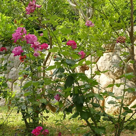 Garni Toni 3* Supetarska Draga